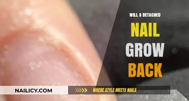 Detached Nails: Can They Grow Back?