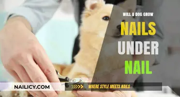 Dog Nails: What's Hiding Under the Surface?