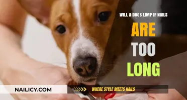 Long Nails: A Painful Limp for Your Dog
