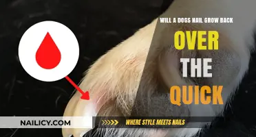 How to Trim Dog Nails Safely and Promote Nail Growth