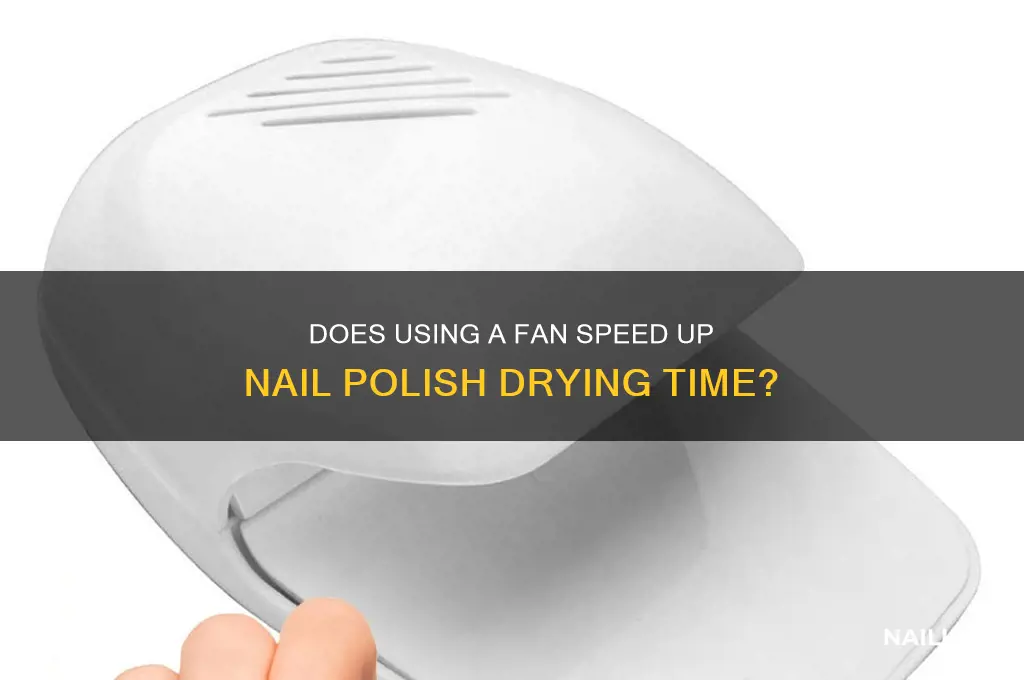will a fan dry nail polish faster