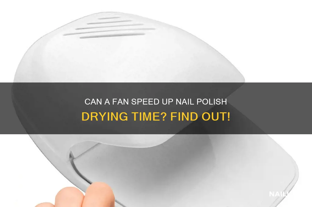 will a fan help dry nail polish