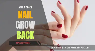 Regrowing Nails: The Natural Process and Healing Time