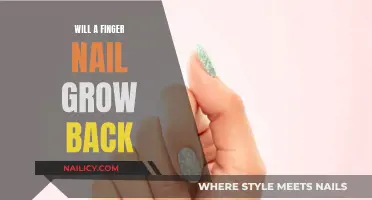 Regrowing Fingernails: What You Need to Know