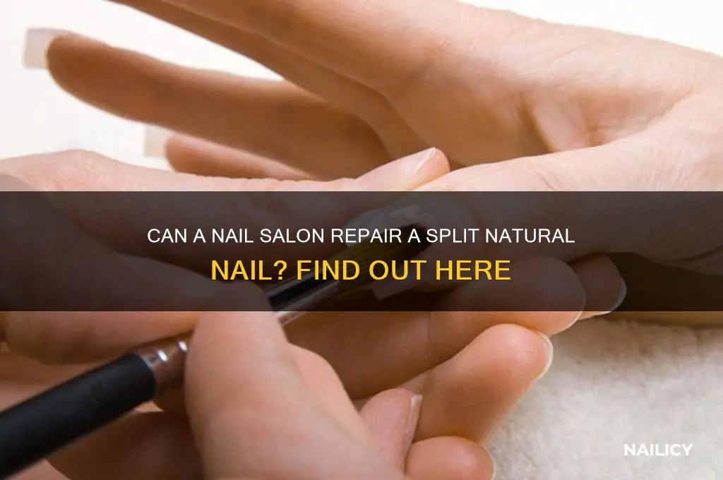 will a nail salon fix a split real nail