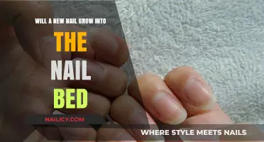 How Nails Regrow After Injury