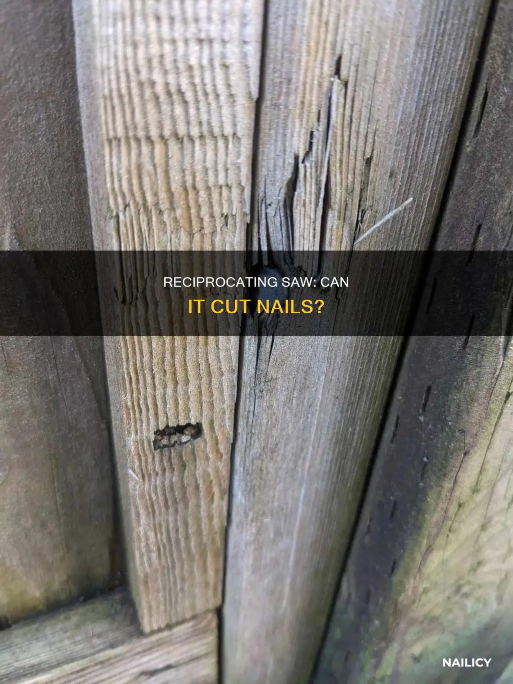will a reciprocating saw cut through nails