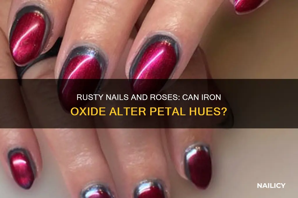 will a rusty nail make a rose change colors