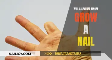 Severed Finger, Will the Nail Grow Back?