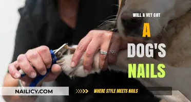 Vets Can Help With Dog Nail Clipping