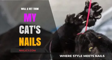 Vet Nail Trimming: A Purr-fect Solution for Your Cat