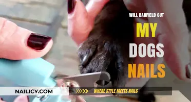 Banfield: Dog Nail Clipping Services for Your Pet