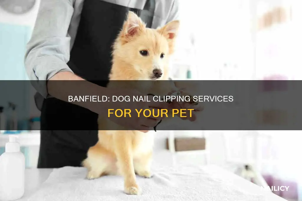 will banfield cut my dogs nails