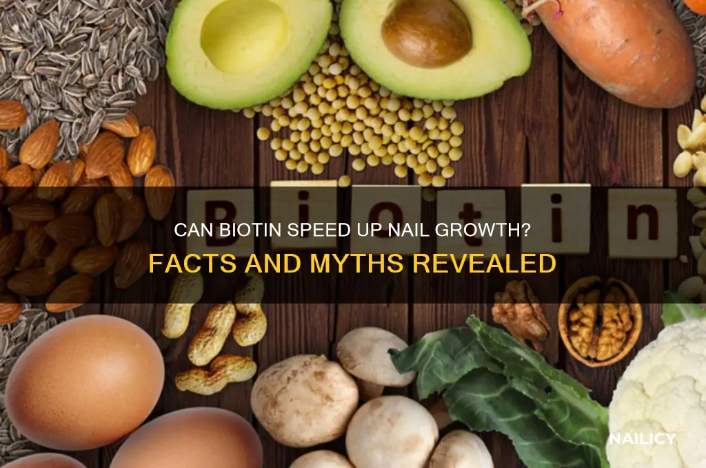 will biotin make my nails grow faster