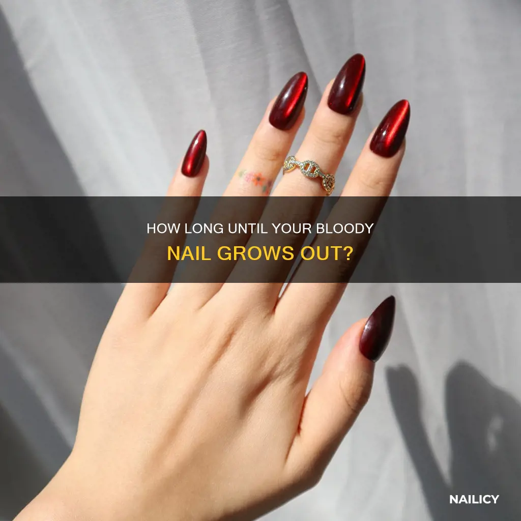 will bloody nail grow out
