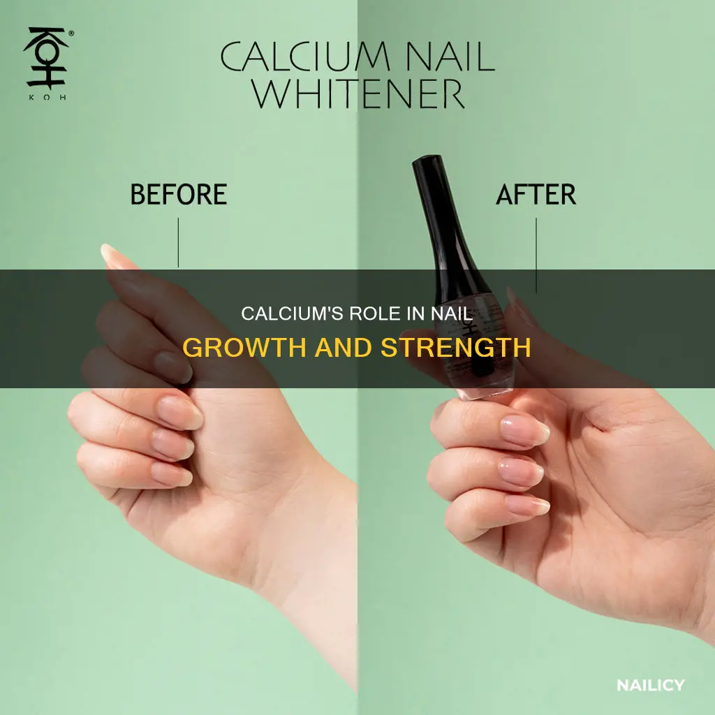 will calcium help nails grow