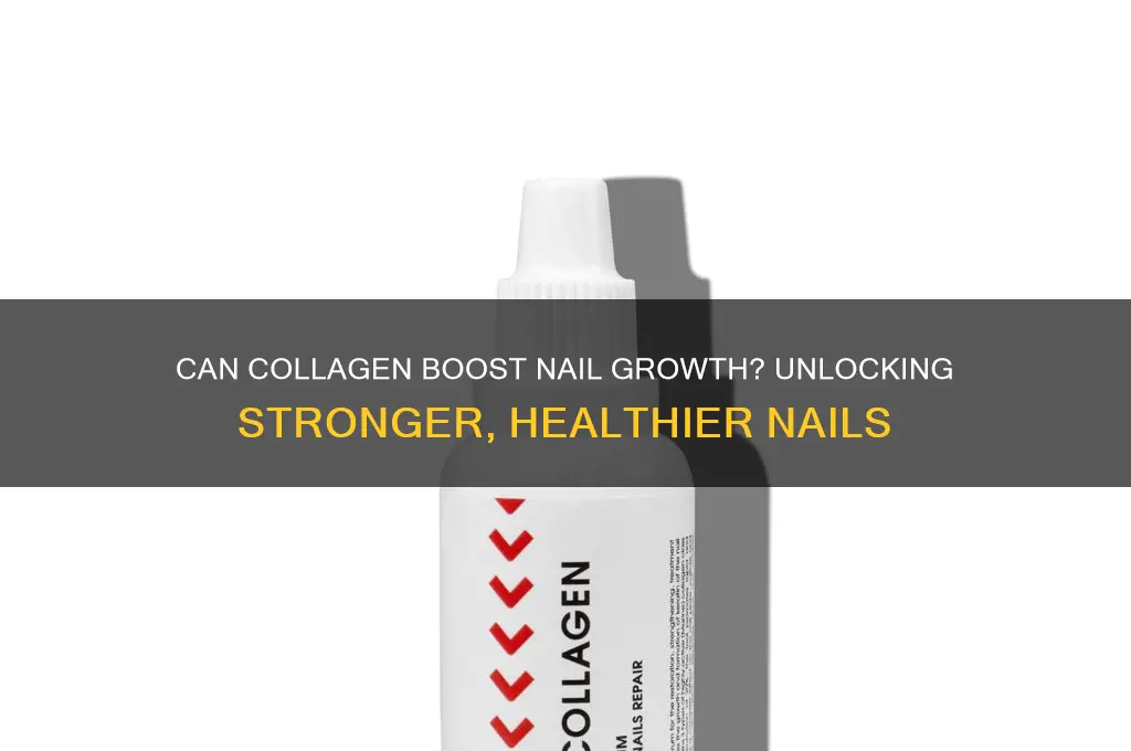 will colligen make my nails g