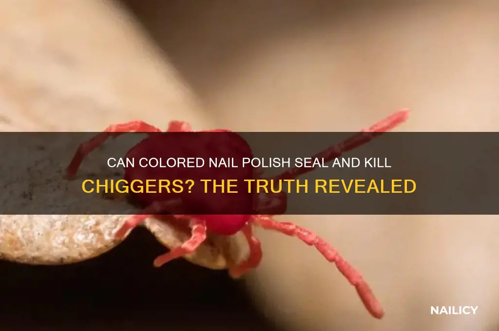 will colored nail polish seal and kill chiggers