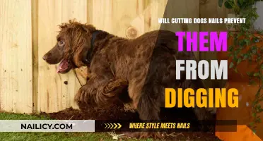 Trimmed Nails: Do They Stop Dogs Digging?