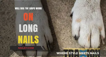 Do Dog Toe Grips Work With Long Nails?