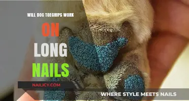 Dog Toenail Grips: Do They Work for Long Nails?