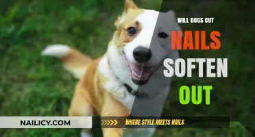 How to Soften Your Dog's Nails at Home