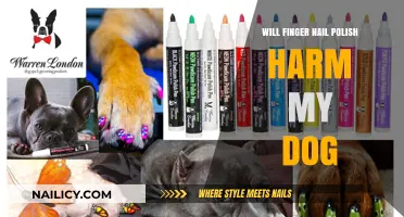 Is Nail Polish Safe for Dogs? Potential Risks Explained