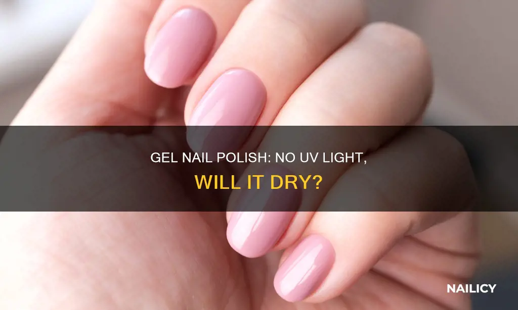 will gel nail polish set without uv light
