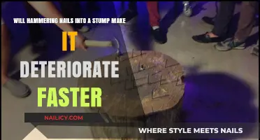 Does Hammering Nails Accelerate Stump Decay? A Detailed Analysis