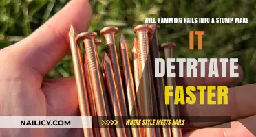 Speeding Up Stump Decay: Does Hammering Nails Really Work?