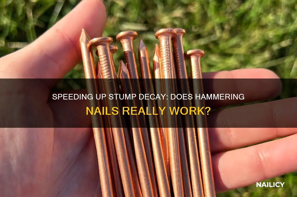 will hamming nails into a stump make it detrtate faster