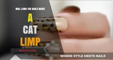 Long Toenails: A Painful Limp for Cats