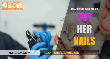 Trimming Nails: Will My Cat Hate Me?