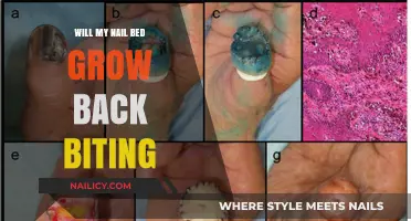 How Nail Beds Recover from Biting
