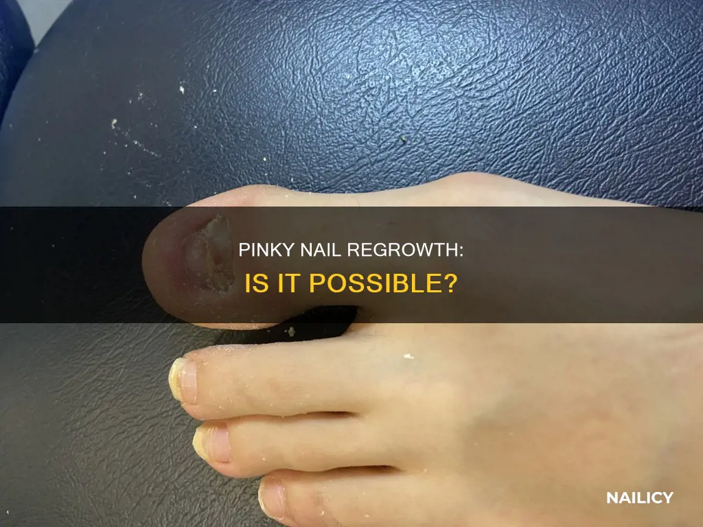 will my pinky nail grow back