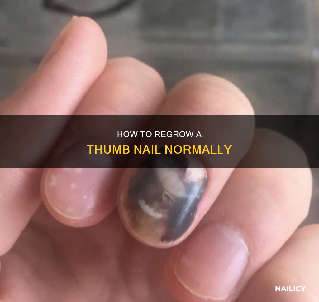 will my thumb nail grow back normal