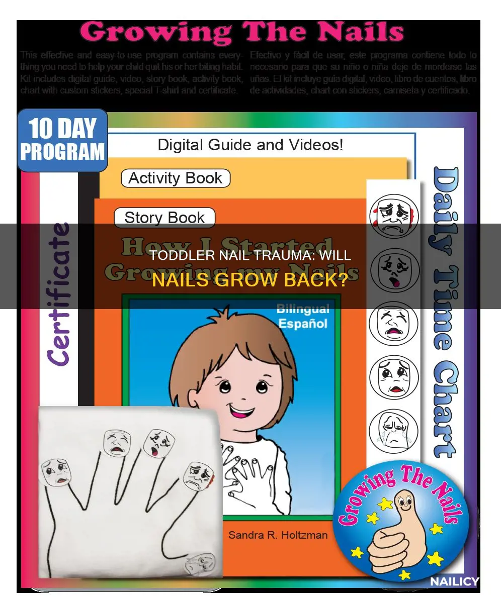 will my toddlers nail grow back