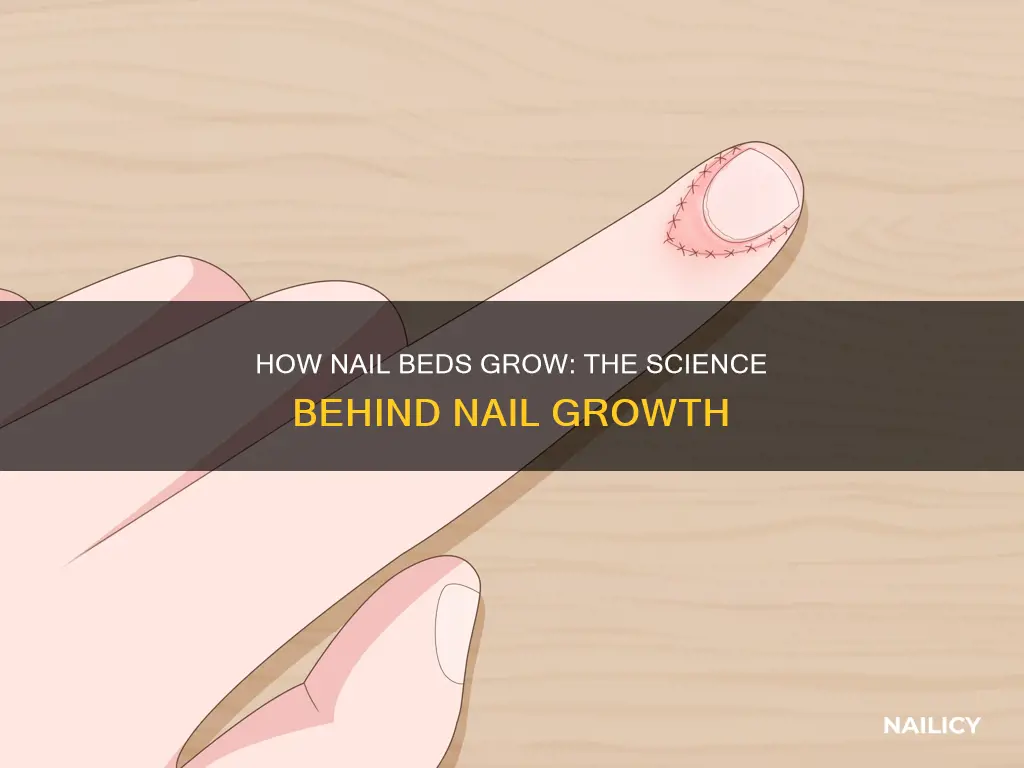 will nail beds grow out with nails