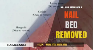 Can Nails Grow Back Without a Nail Bed?