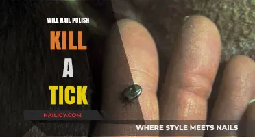 Can Nail Polish Kill Ticks? Facts and Safe Removal Methods