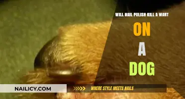 Can Nail Polish Safely Remove Warts on Dogs? Expert Insights