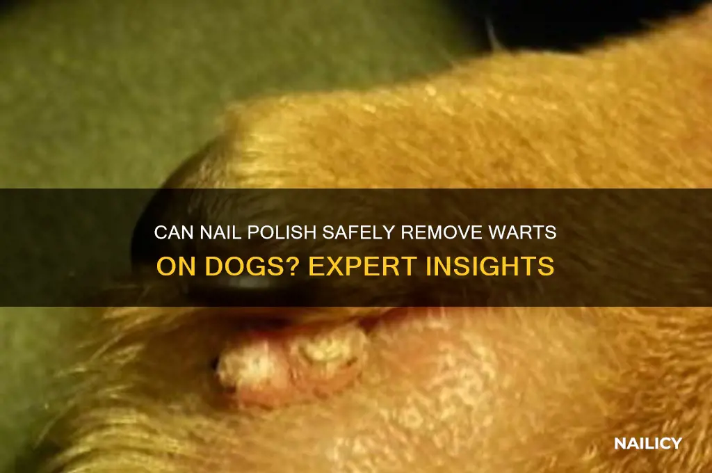 will nail polish kill a wart on a dog