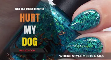 How Nail Polish Remover Affects Your Dog's Health?