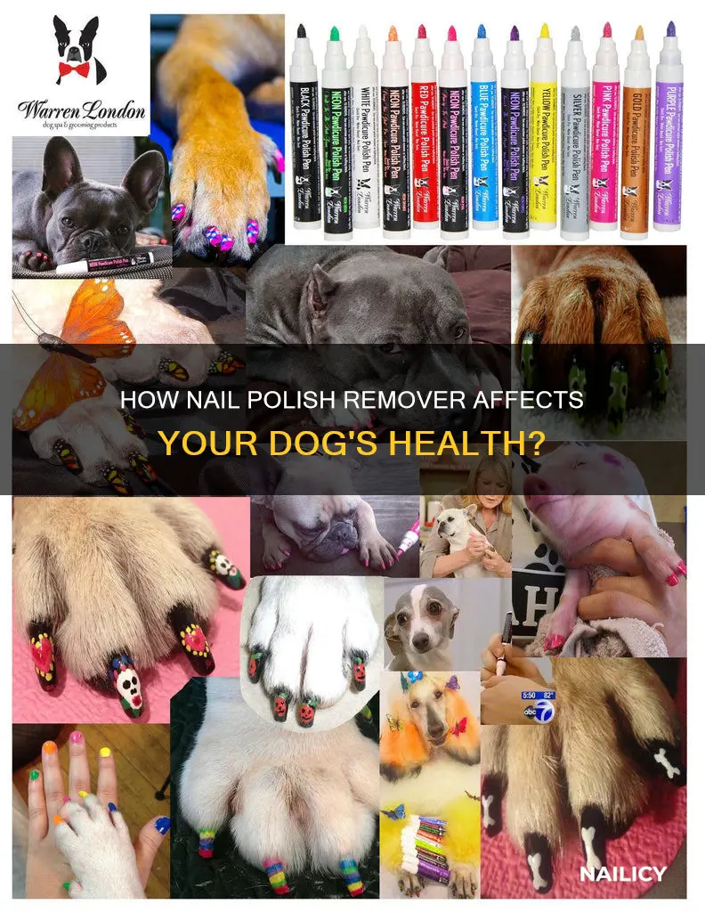 will nail polish remover hurt my dog