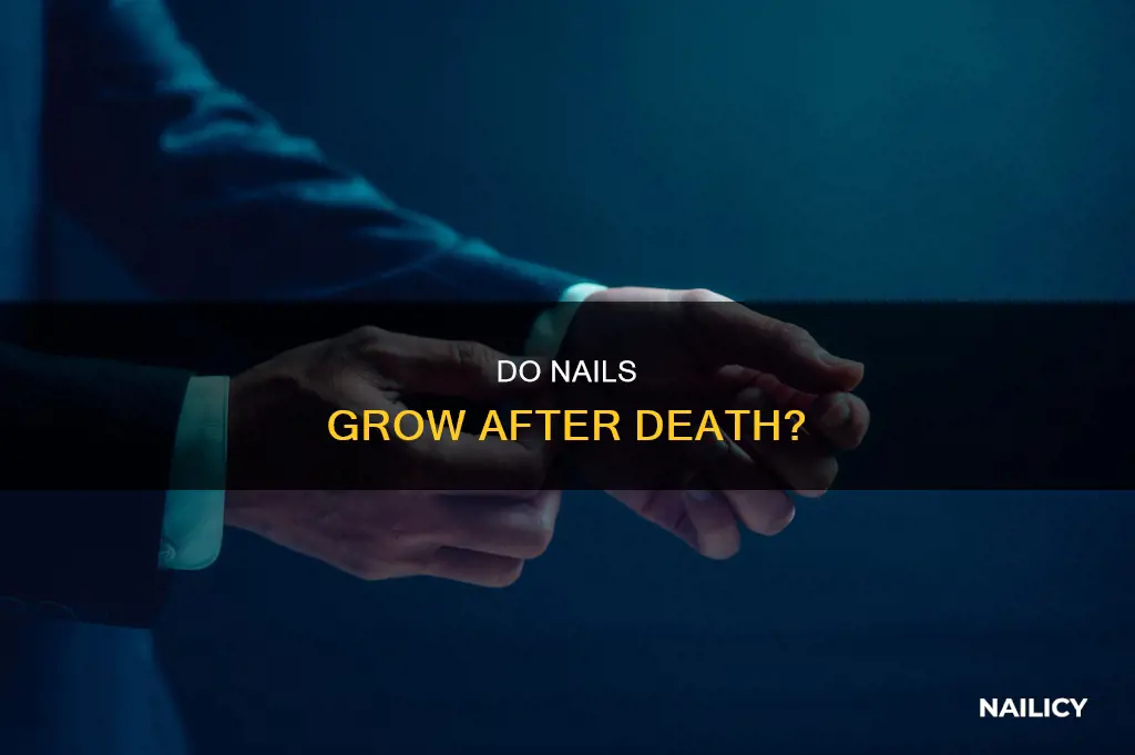will nails grow after death