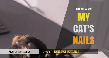 Petco Nail Clipping Services: Cat-Friendly Claw Trimming