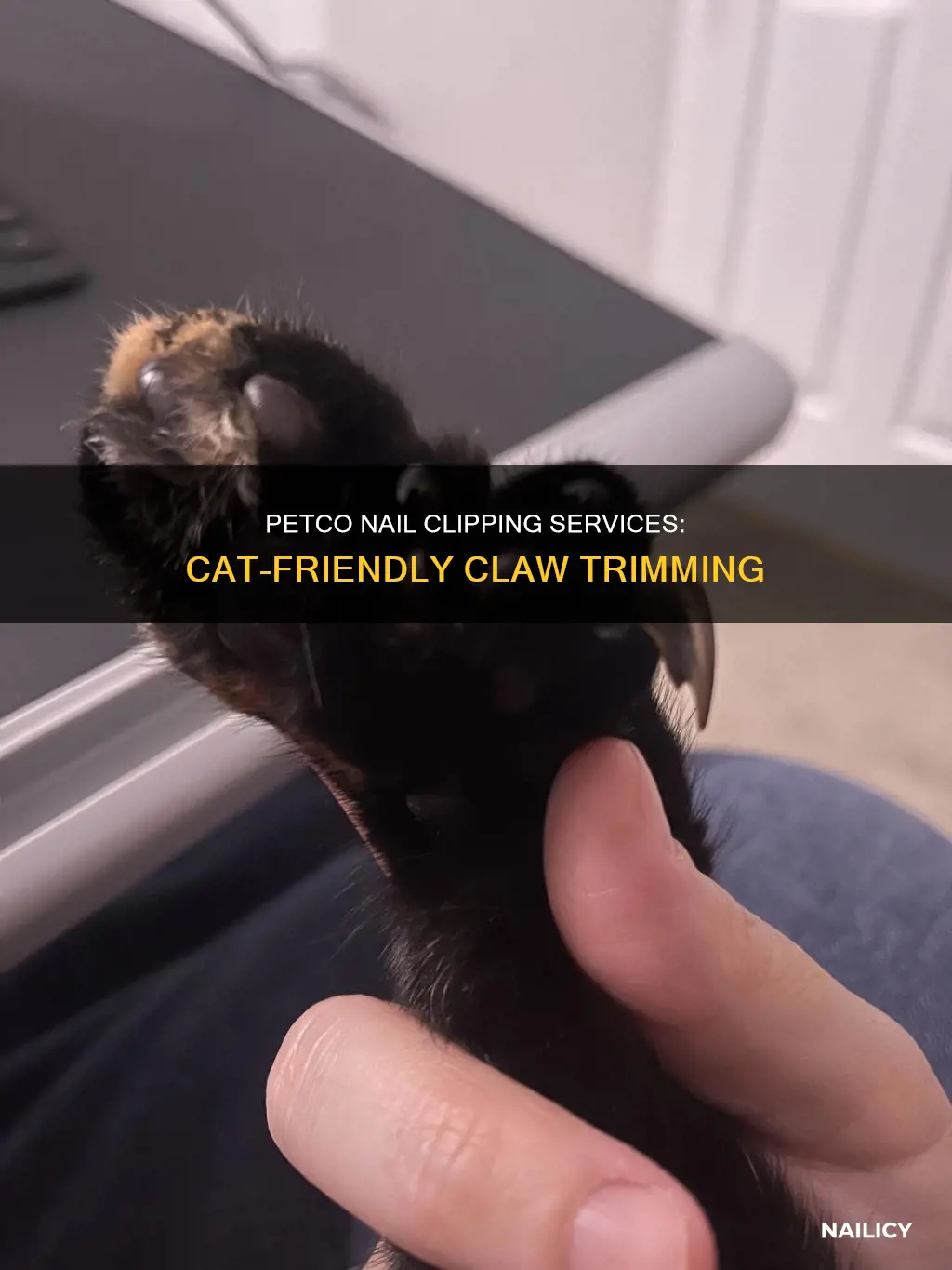 will petco cut my cat