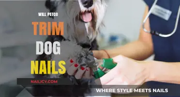 Petco's Dog Nail Trimming Service: What You Need to Know