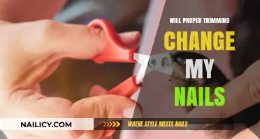 Trimming Nails: Does Shape Affect Their Health?