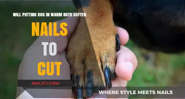 Warm Baths Soften Nails for Easy Dog Grooming